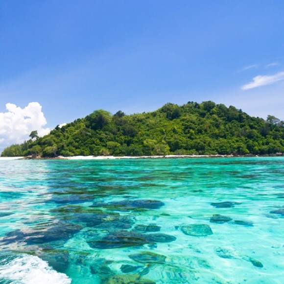 Meet your Posher, Dove - Picture 1 of 1